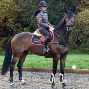 Yaris Hi Wither Saddle Pad
